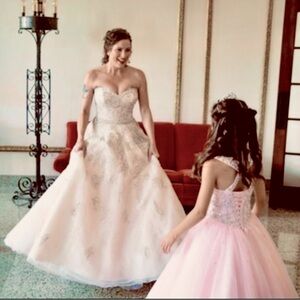 Stunning Pale Pink Wedding Gown with Handstiched Embroidery and Gemstones